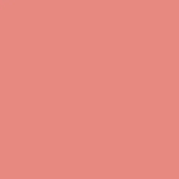 Burnt Coral in Leggings